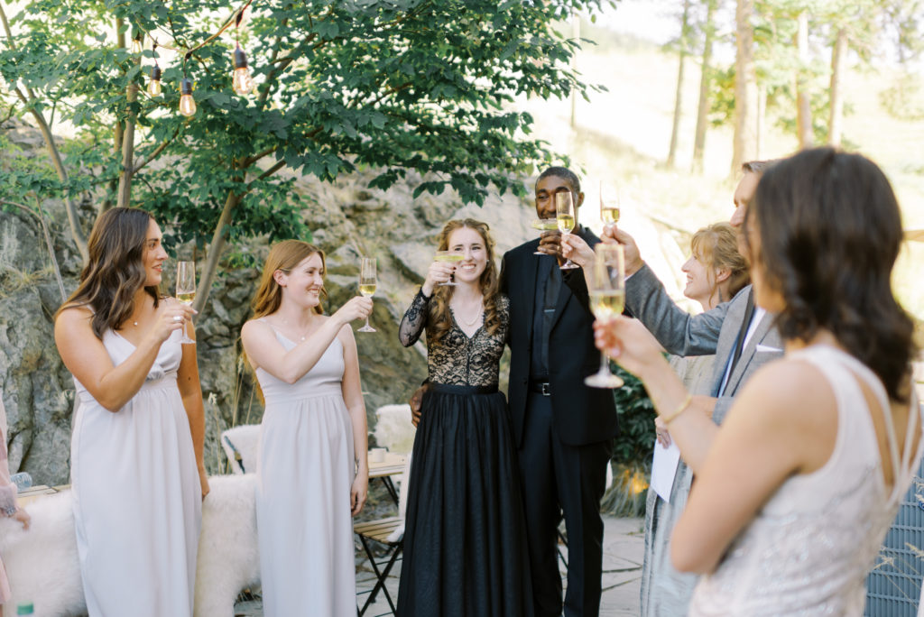 guests toast the bride and groom at a Kelowna private estate wedding 